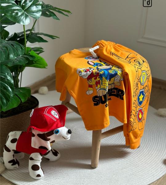 Paw Petrol Detaylı Şortlu Takım